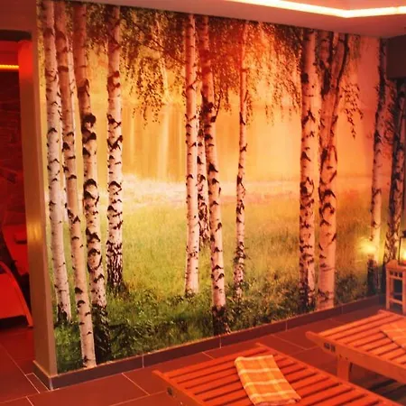 Montebello Bussines&spa Ustroń